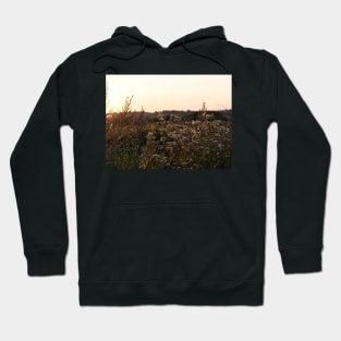 Dramatic colours on plants at sunset or sundown Hoodie